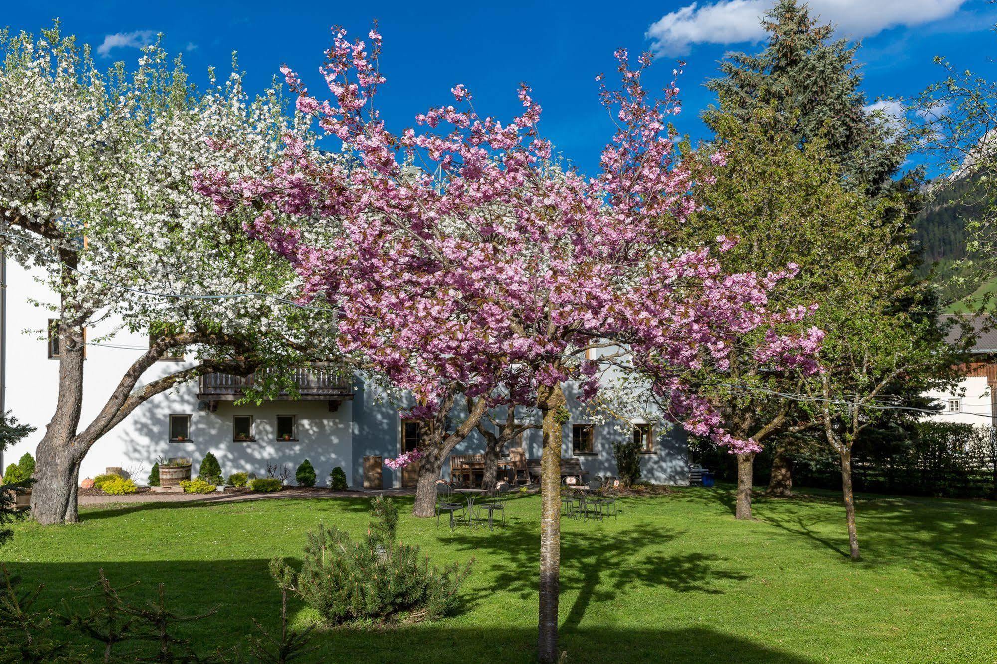 Residence Mitterdorfer Abfaltersbach المظهر الخارجي الصورة